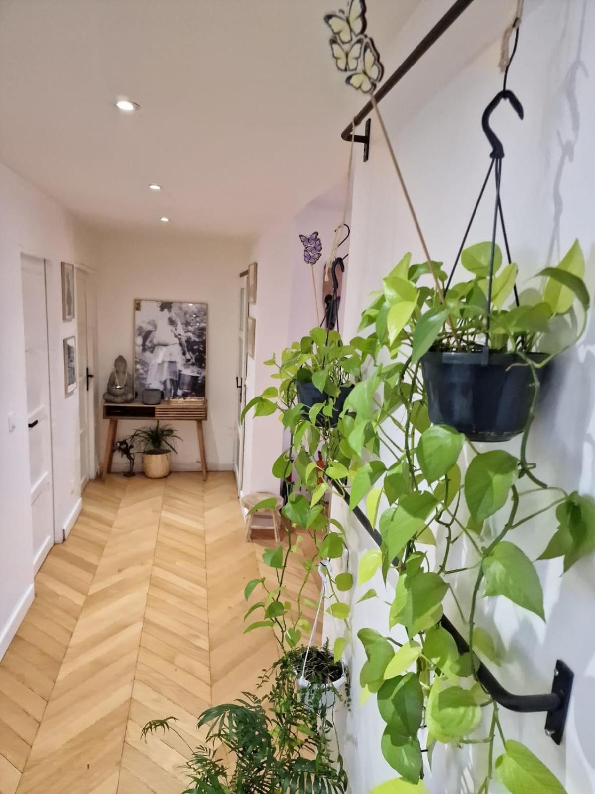 Apartment Magnifique 12 *
